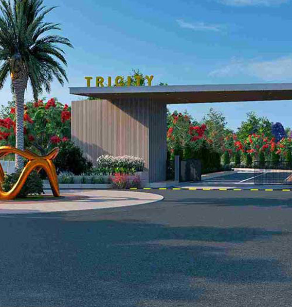 Tricity Reserve